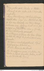 Seite 8, Tagebuch "Ober-St.Veit" (NHMW-PRAE-BBB-31)